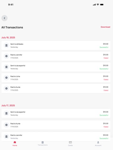 CPayant Screenshot 6