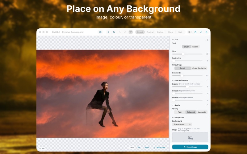 Export with solid color or custom background