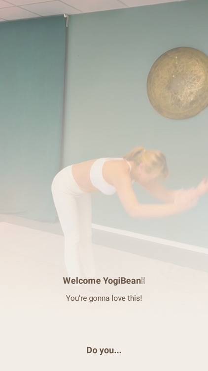 YogiBean