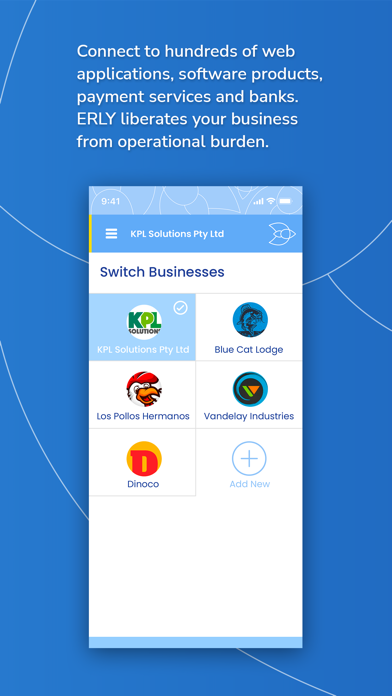 erly Accounting Screenshot