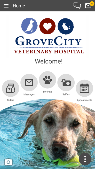 GroveCityVet Screenshot