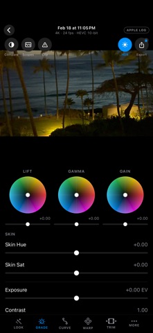 Lightscope — Video Grading Screenshot 3 of 5