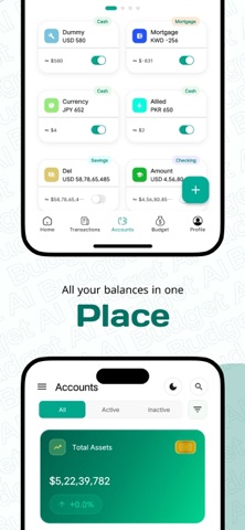 Budget AI-Expense Tracker iPhone screenshot