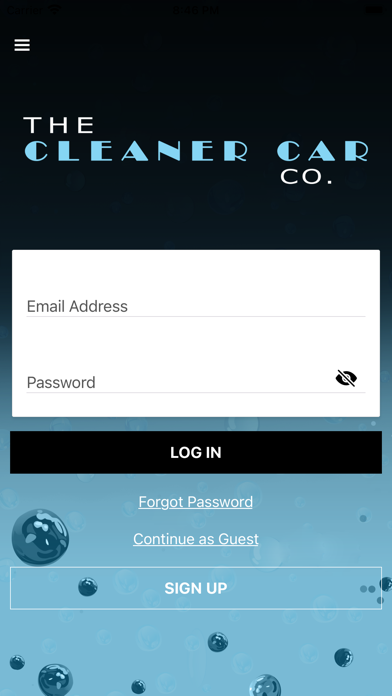 The Cleaner Car Co. Screenshot