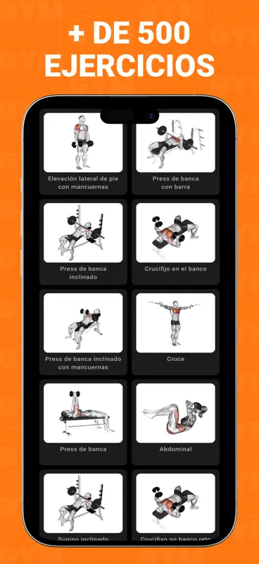 Gym WP - Rutina Entrenamiento screenshot 3 of 7