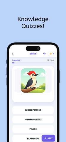 Kiddo Quest-The Playfull Minds screenshot