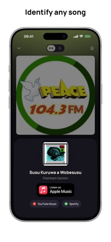 Radio Ghana FM AM Live Online screenshot