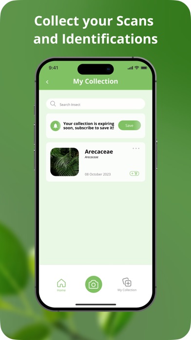 Plant Disease Identification Screenshot