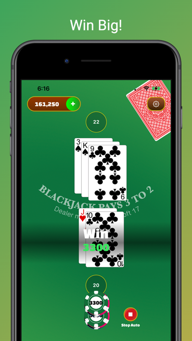 BlackJack: 21 Casino Table Screenshot