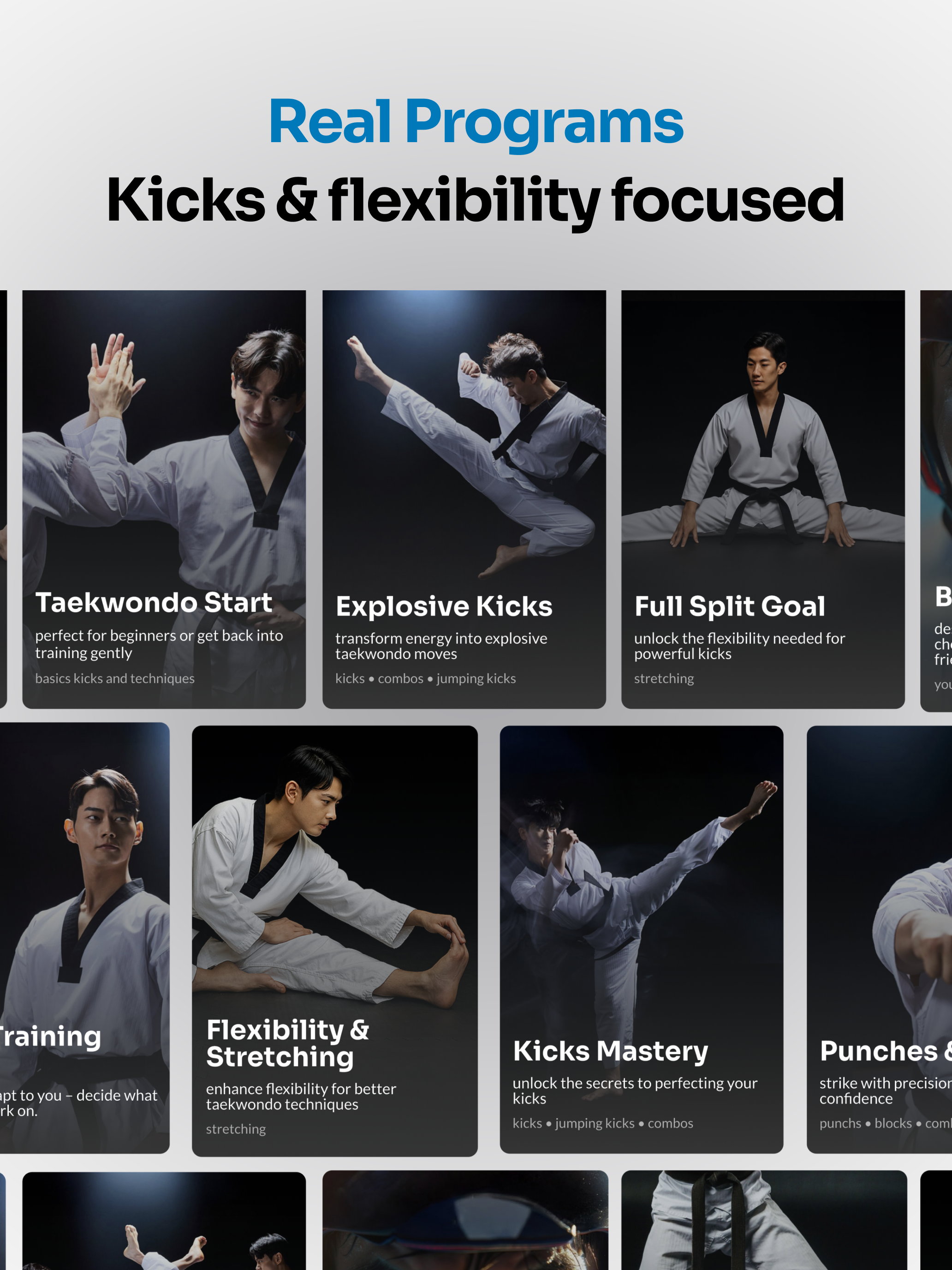 Taekwondo Kicks Training