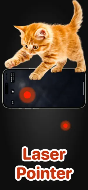 Mouse Game for Cats screenshot 4