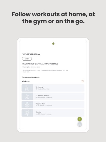 IMpfit iPad screenshot