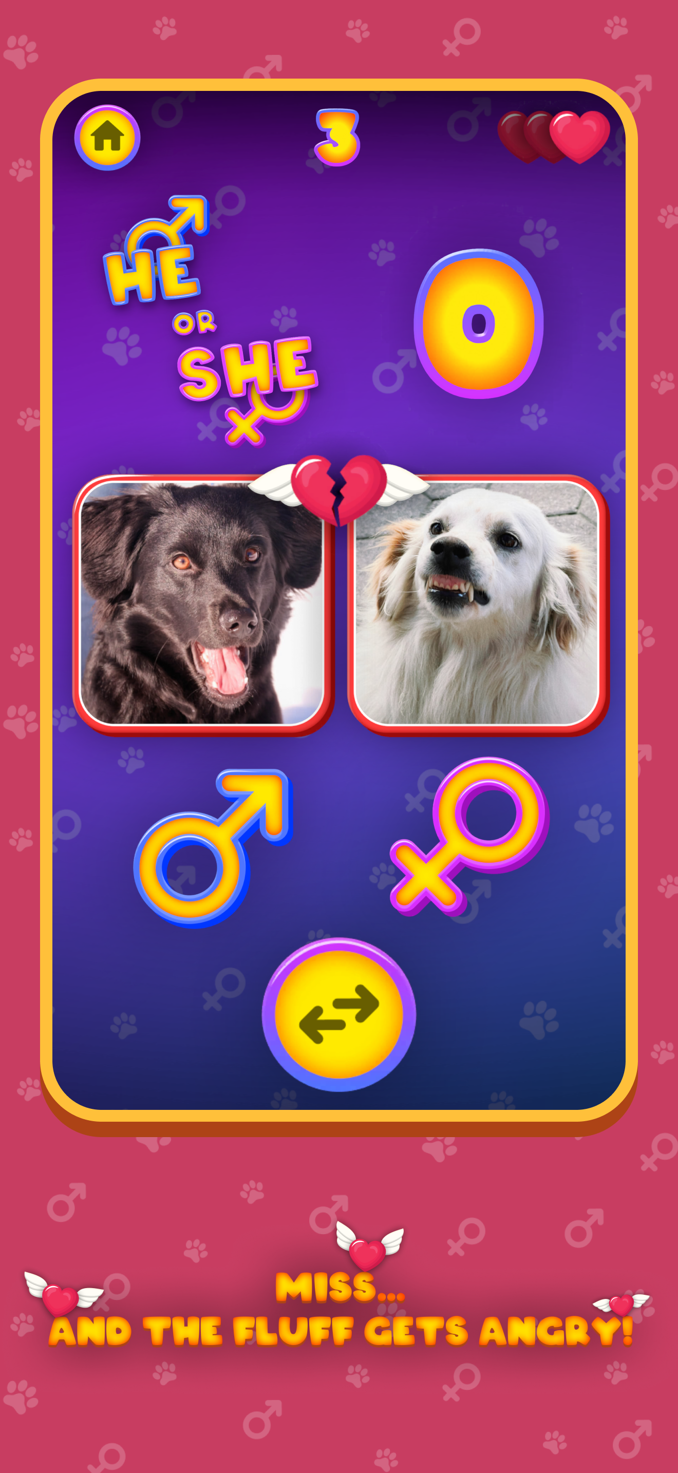 He or She: Cute Pet Quiz Game screenshot 3