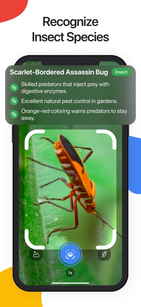 Lens Scan: Identify Anything - The tool offers precise insect recognition, identifying species like the "Scarlet-Bordered Assassin Bug" and describing its "Orange-red coloring" and predatory skills.