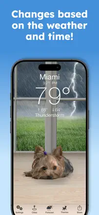 Weather Puppy Forecast + Radar: Screenshot 2 von 4