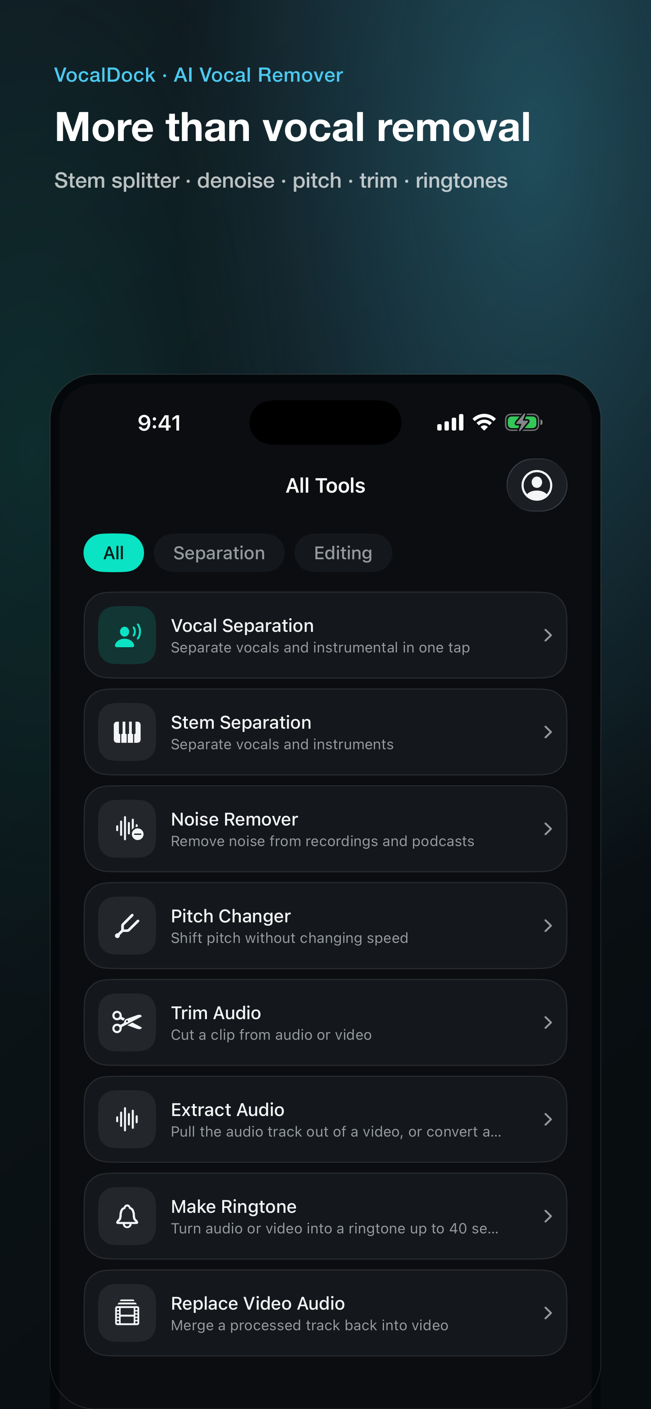VocalDock: AI Vocal Remover screenshot 4