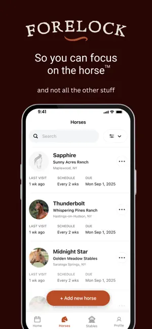 Forelock screenshot 2