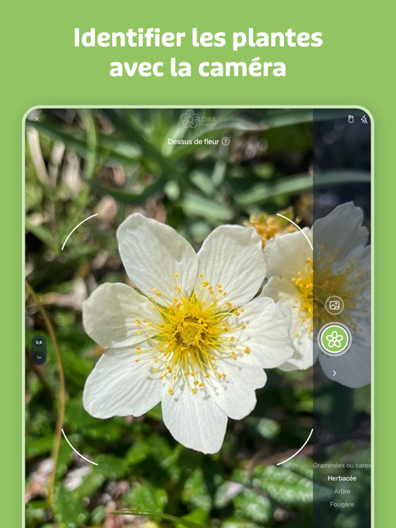 Screenshot #5 pour Flora Incognita