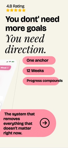 12WKS: The System screenshot