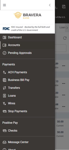 Bravera Bank Treasury Mgmt screenshot