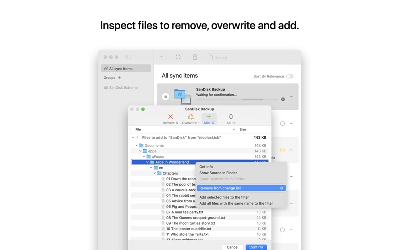 SyncTime Screenshot