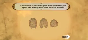 Pattern of Evolution-Primates screenshot 3