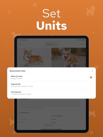 Dog Breed Identifier – Dogium iPad screenshot