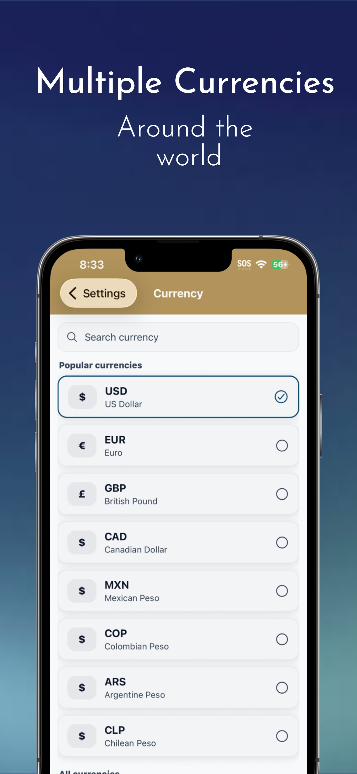 AleBudget screenshot 7