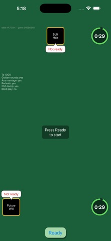 Play 1000 Online screenshot