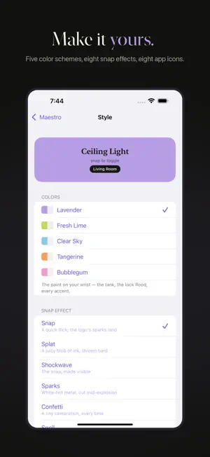 Maestro Snap screenshot 4
