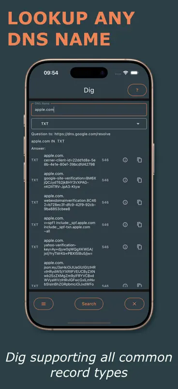 DNS Toolkit screenshot 1 of 3