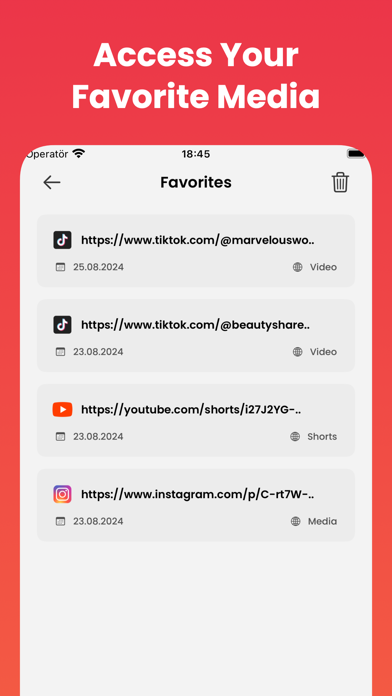 Loadie: Reel Story Video Saver Screenshot