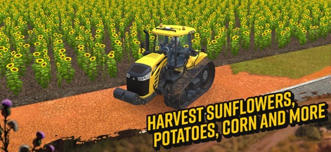 Farming Simulator 18 - L'app offre nuove coltivazioni come i girasoli, visibili nel campo verde, che un potente trattore giallo di marca Challenger si appresta a raccogliere.