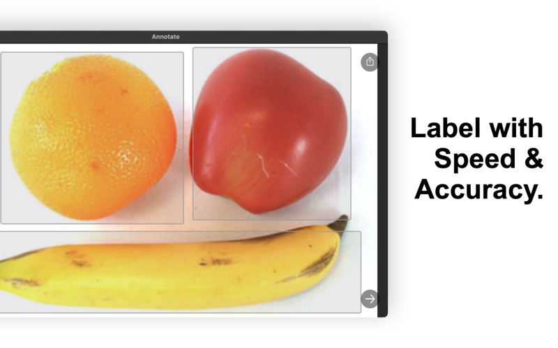 Annot8: Label Images for AI screenshot 3