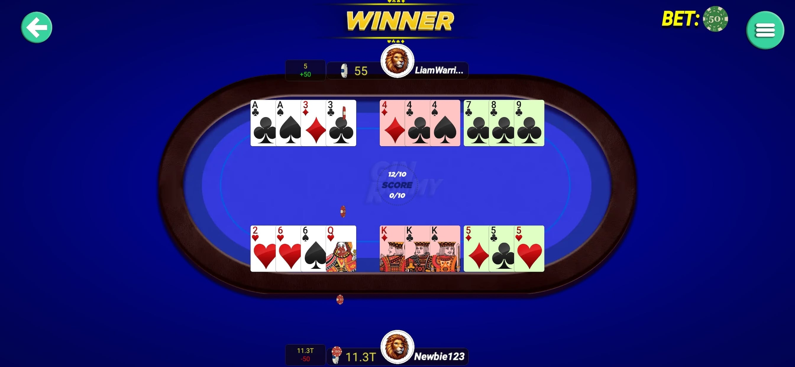 Gin Rummy - GinRummy ! screenshot 3