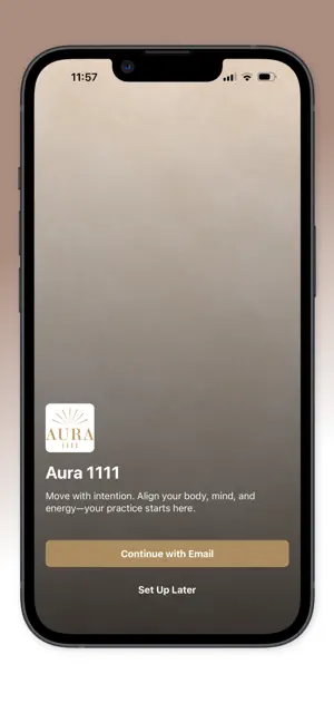 Aura 1111 LLC screenshot 1