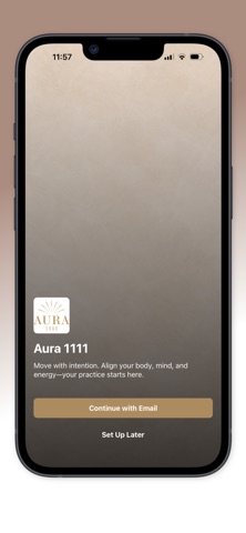 Aura 1111 LLC Screenshot 1 of 4