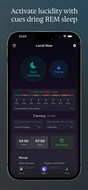 Lucid Now screenshot 2
