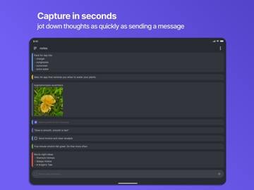 Notestream: Fast Notes to Self ipad screenshot 2