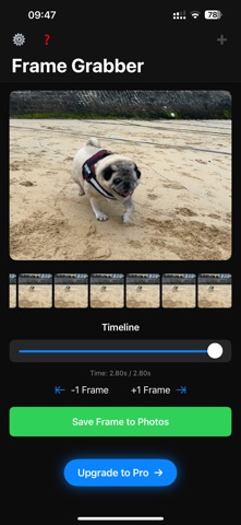 Video Frame Pro: Export Photos iPhone screenshot