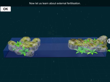 Fertilisation - EduTech Era iPad screenshot