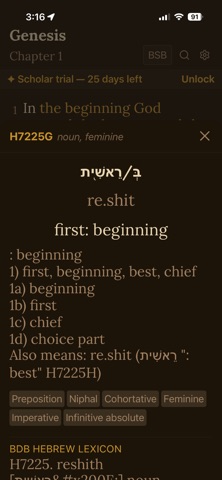 Bible Study - Scribe Scholar Screenshot 8 of 8