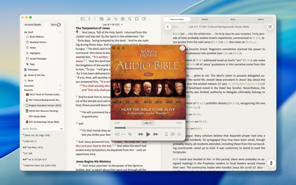 Bible Study screenshot 3