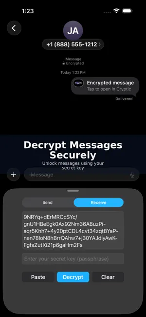 Cryptic Send screenshot 4