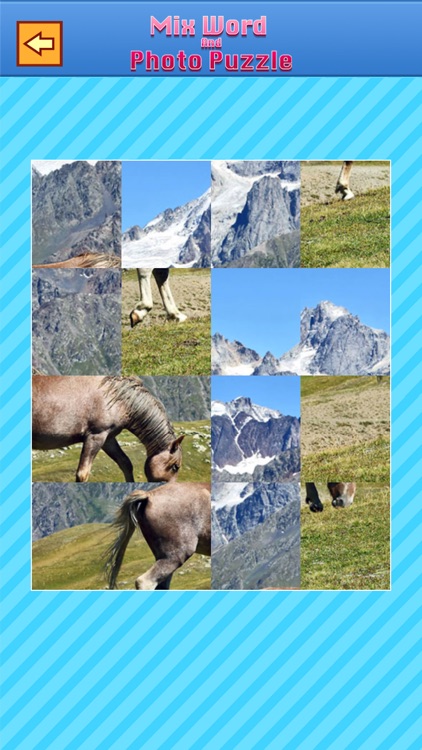 Word & Photo Puzzle: Pics Quiz