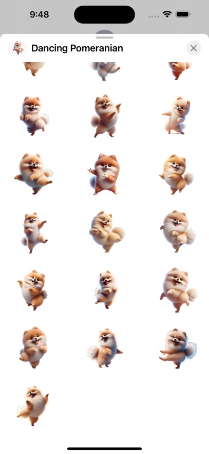 Dancing Pomeranian