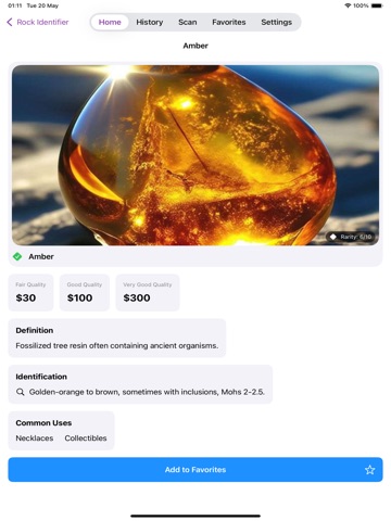 Rock Identifier: Stone Scan ID iPad screenshot