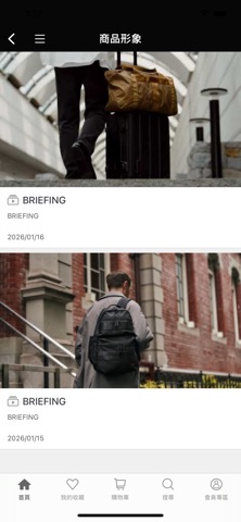 BRIEFING Screenshot 4 of 5