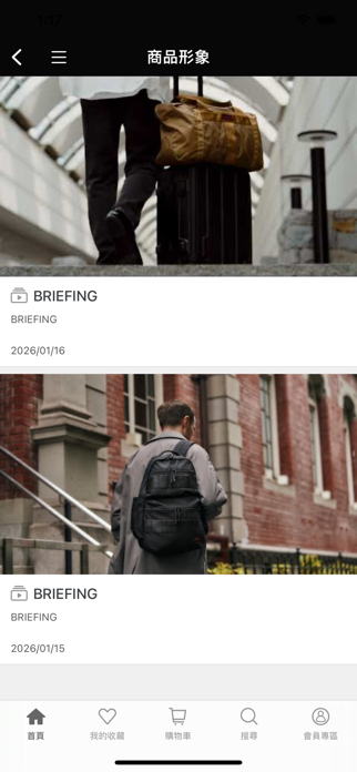 BRIEFING Screenshot 4 of 5