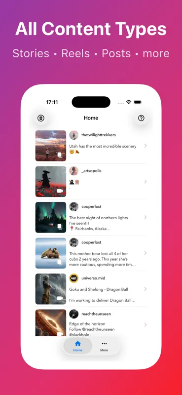 Instdown for Videos & Stories screenshot 3 of 3